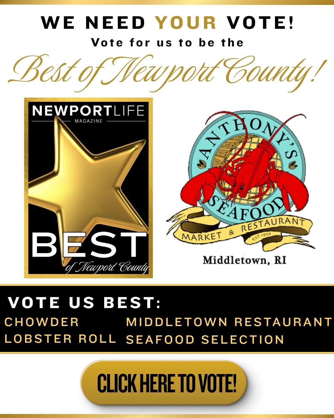 Best of Newport County 2026
